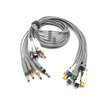 2104724-002 EKG Leitungen und Stammkabel 10 Leitungen